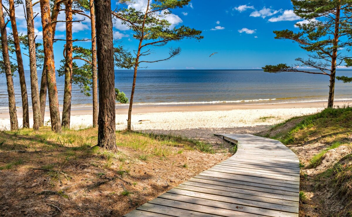 Jūrmala, la pineta che incontra la sabbia di quarzo bianca del Mar Baltico, a 25 km da Riga.