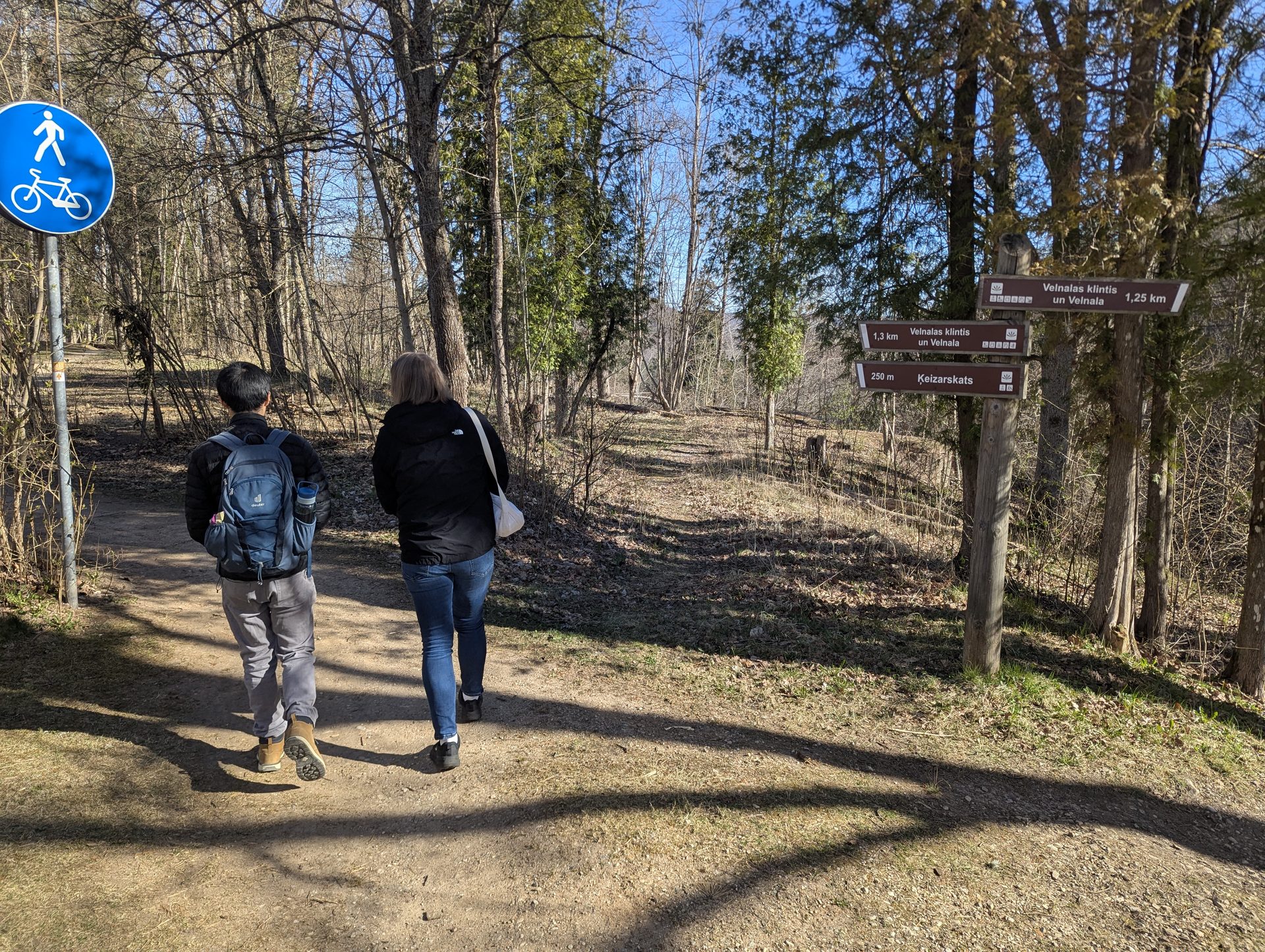 Sentieri della valle della Gauja vicino a Velnu klints (Rupi del Diavolo)