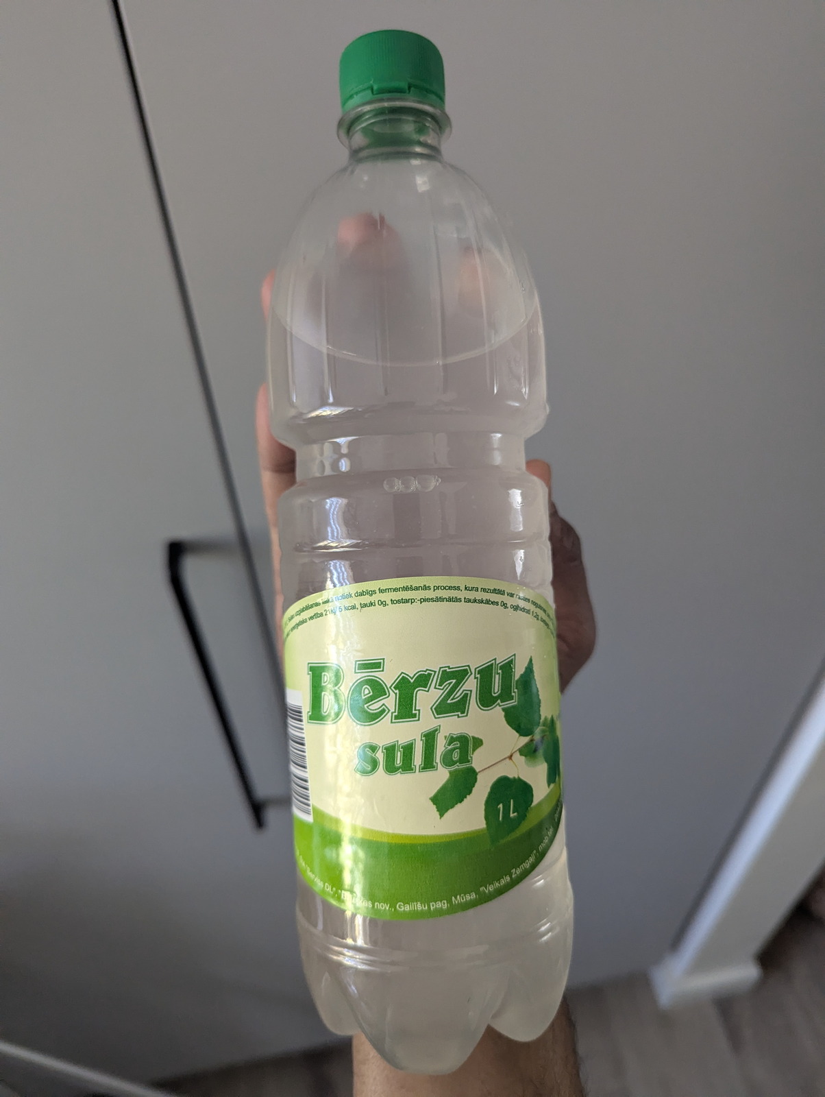 Una bottiglia di PET da un litro di Bērzu sula (linfa di betulla lettone) con un&rsquo;etichetta a motivo di foglie verdi, sollevata contro una parete di cucina